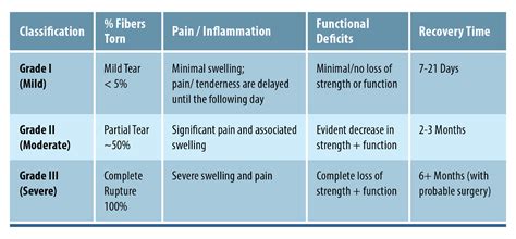 tests for tendon tears|recovery time for muscle strain.